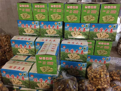 陳學(xué)大姜報(bào)價(jià)_廠家直銷(xiāo)實(shí)惠的大姜圖片|陳學(xué)大姜報(bào)價(jià)_廠家直銷(xiāo)實(shí)惠的大姜產(chǎn)品圖片由山東陳學(xué)蔬菜公司生產(chǎn)提供-