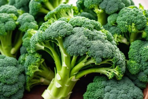 綠色西藍(lán)花 健康農(nóng)產(chǎn)品的視覺(jué)盛宴